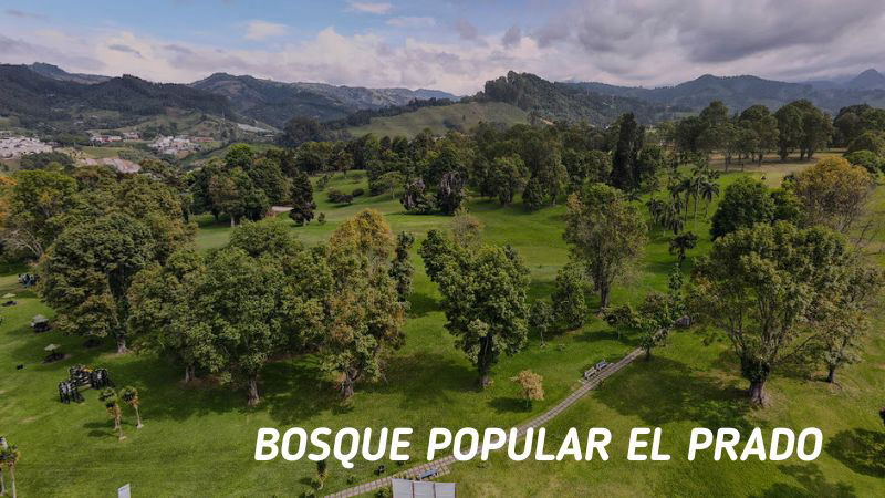 Bosque Popular El Prado 
